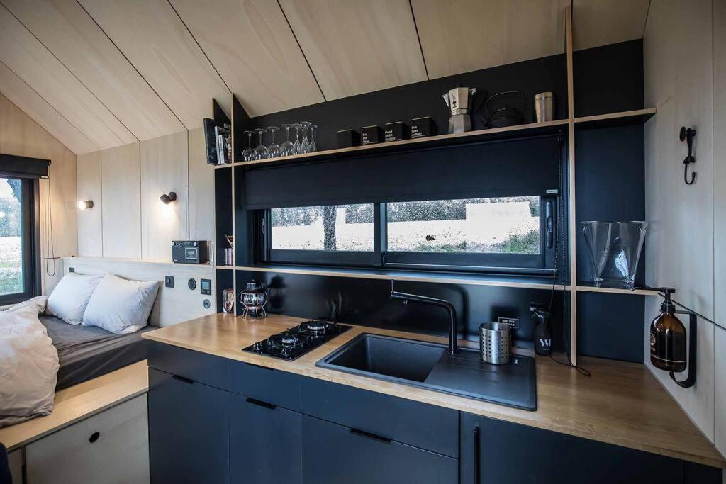 L'Envolee Ecolodge, Tiny House Au Coeur Des Vignes Loches-sur-Ource Екстериор снимка